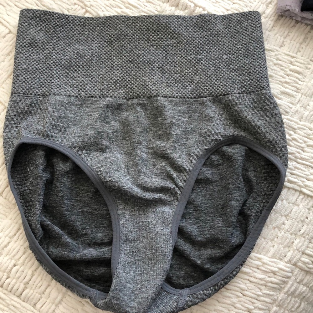 Kathy Ireland Intimates waist control panties Size L